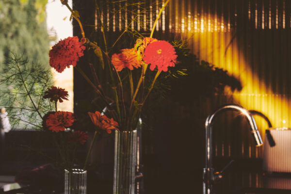 VillaMamo_10_12-10-25_SHOT_01_0409