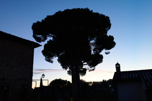 VillaMamo_10_12-10-25_SHOT_02_0003