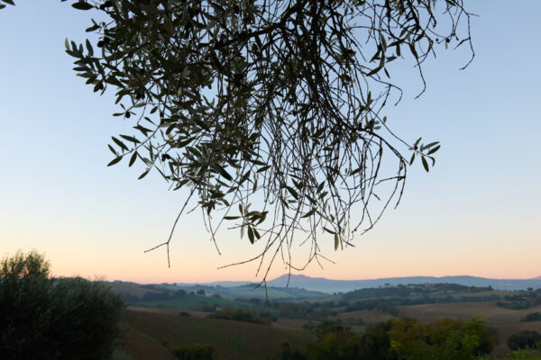 VillaMamo_10_12-10-25_SHOT_02_0049