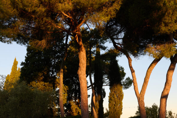 VillaMamo_10_12-10-25_SHOT_02_0073