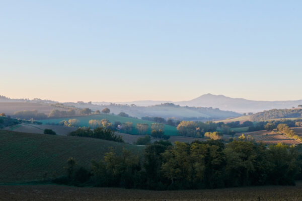 VillaMamo_10_12-10-25_SHOT_02_0074