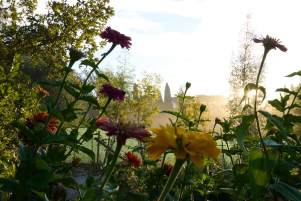 VillaMamo_10_12-10-25_SHOT_02_0105