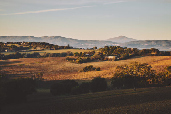 VillaMamo_10_12-10-25_SHOT_03_0002